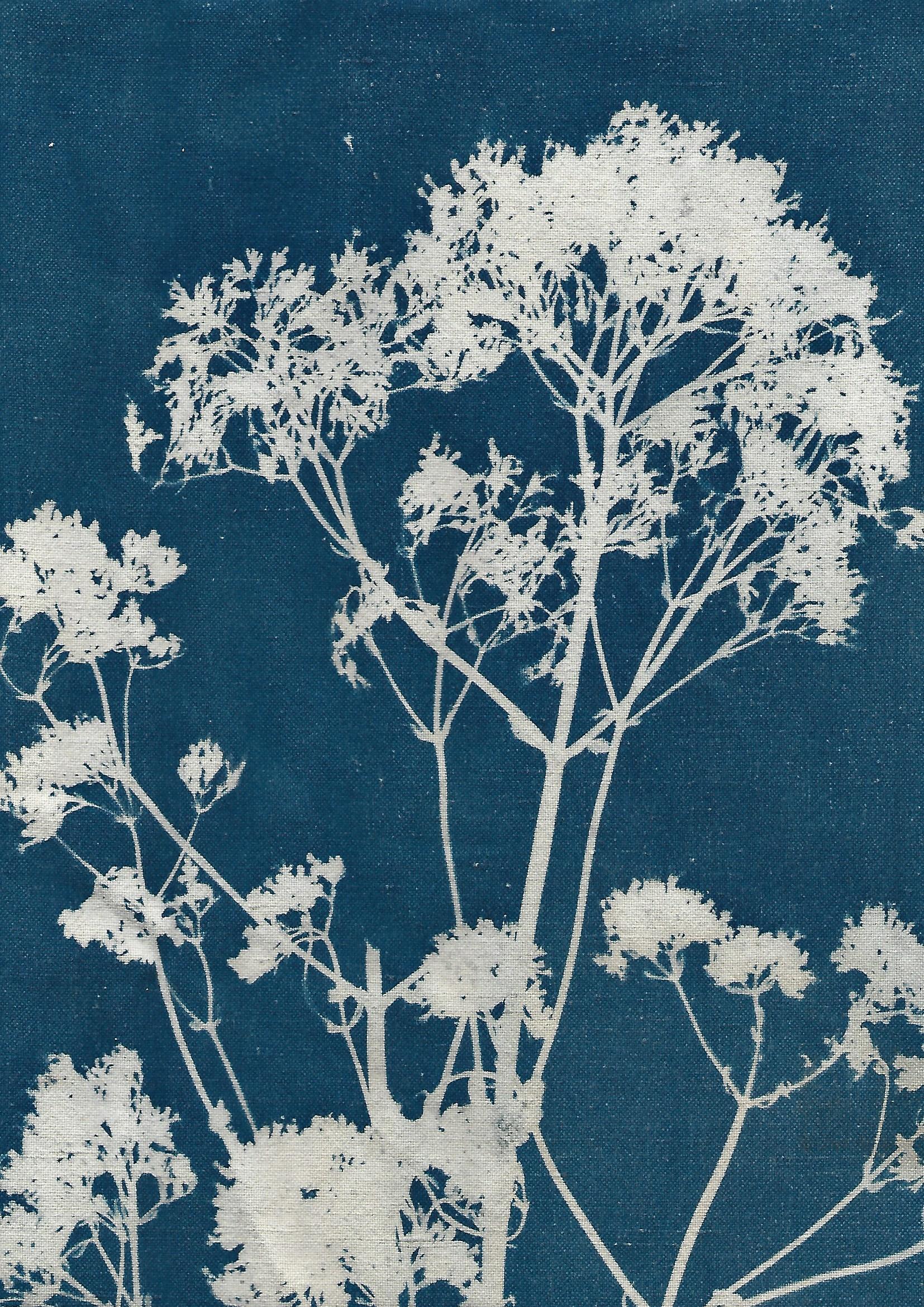 Exposition L'empreinte d'un jardin