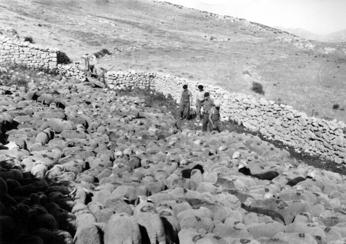 Exposition “Paysages façonnés”