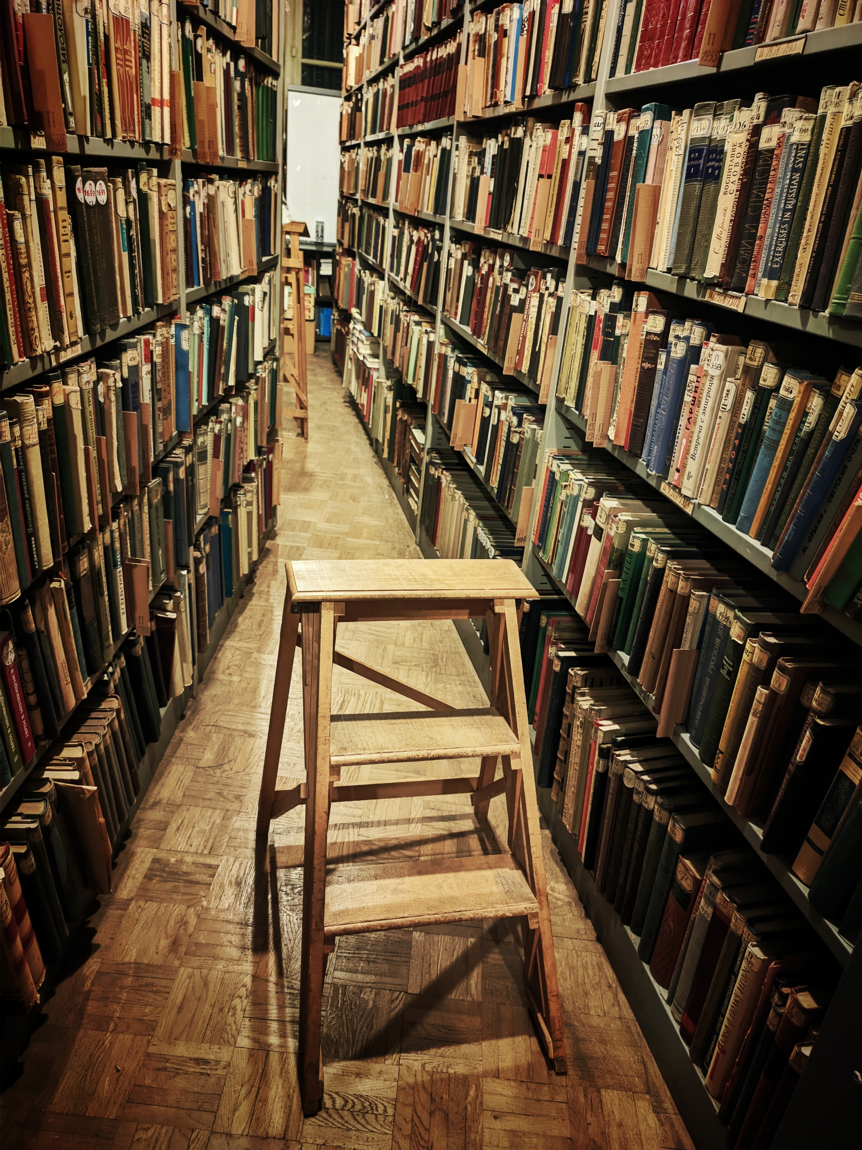Première connaissance avec la Bibliothèque Touguenev