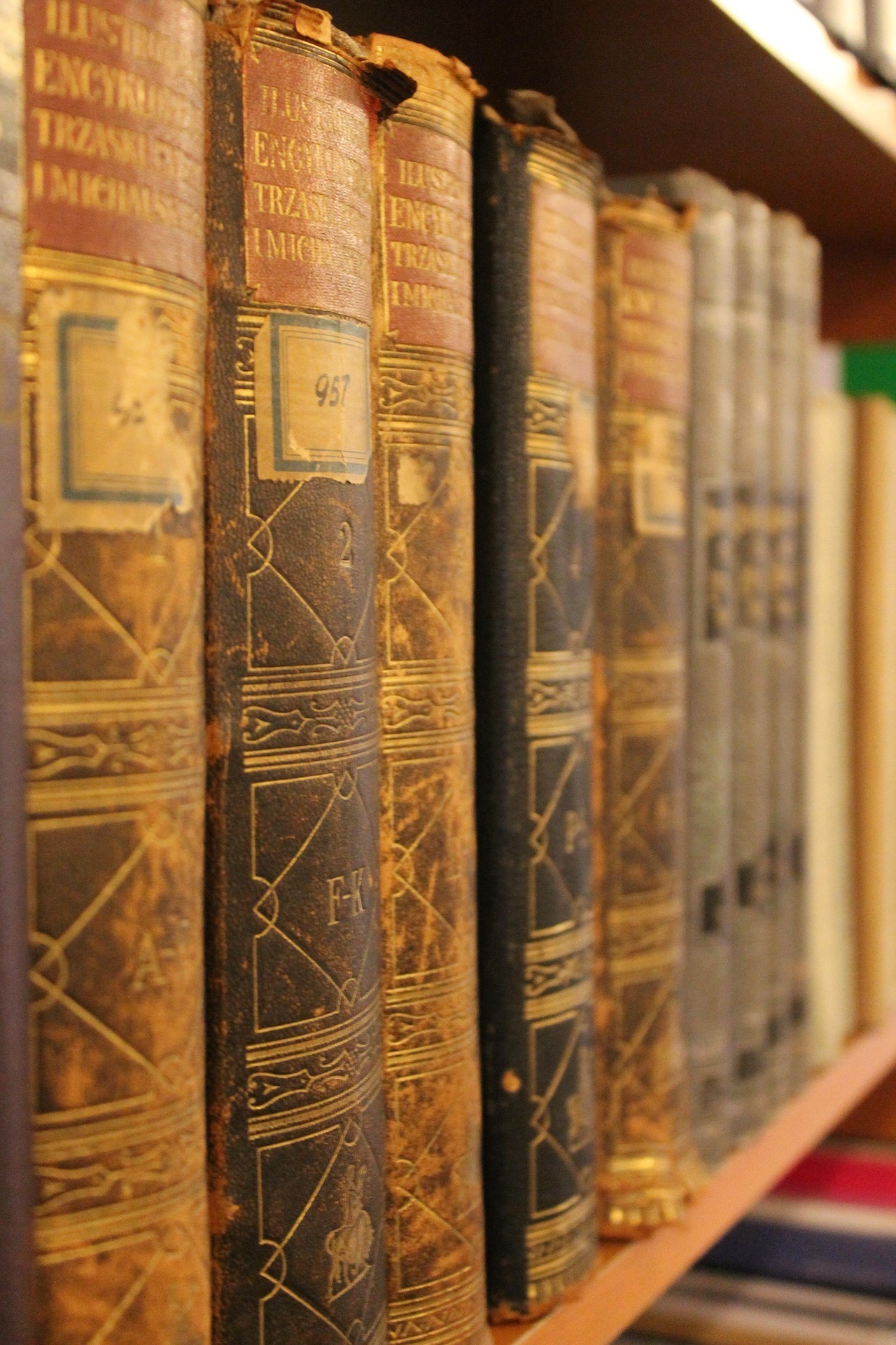 Visite des Archives de l'Hôtel de ville