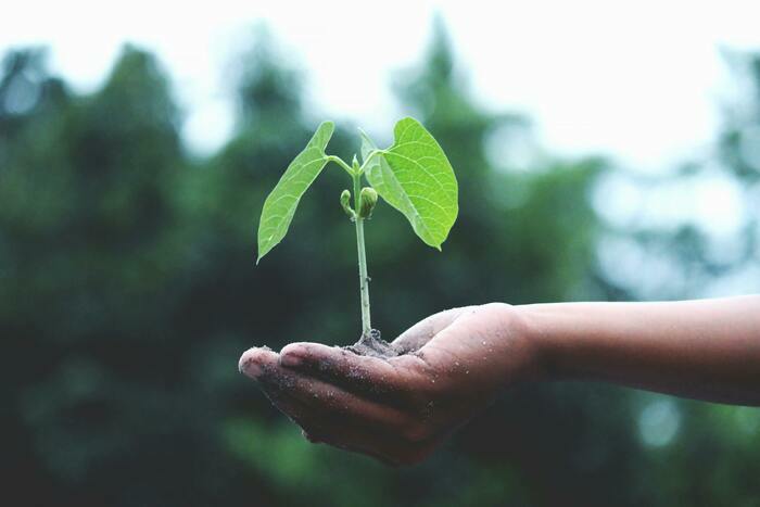 Réunion du groupe paroissial Laudato Si