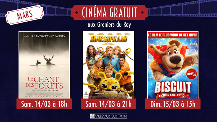Cinéma gratuit à Villemur