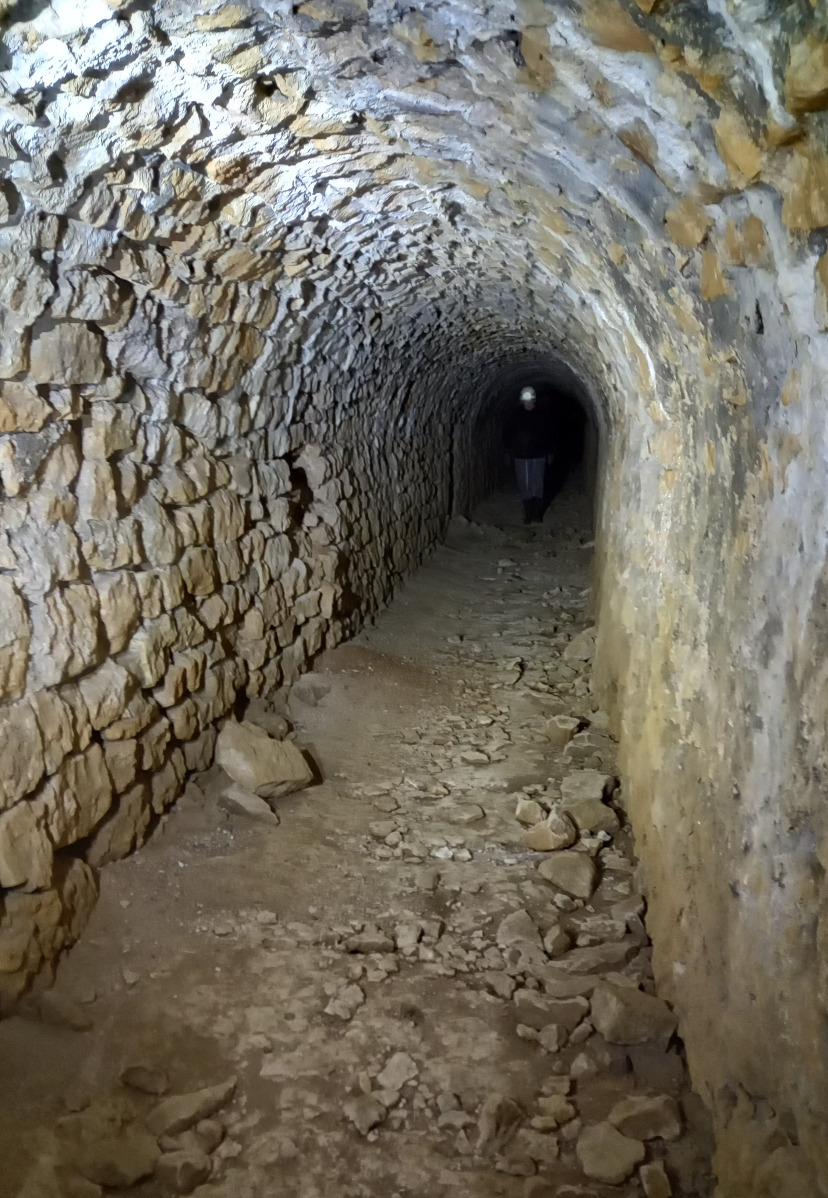 Visite du site et des vestiges de la Mine de Fer