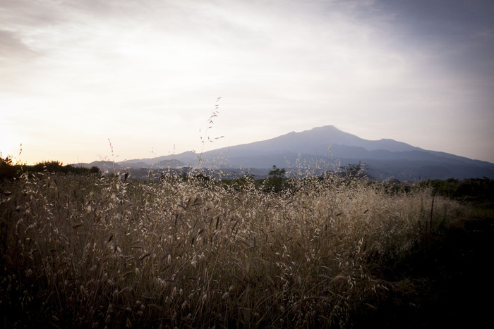 Il giardino siculo che guarda l'Etna
