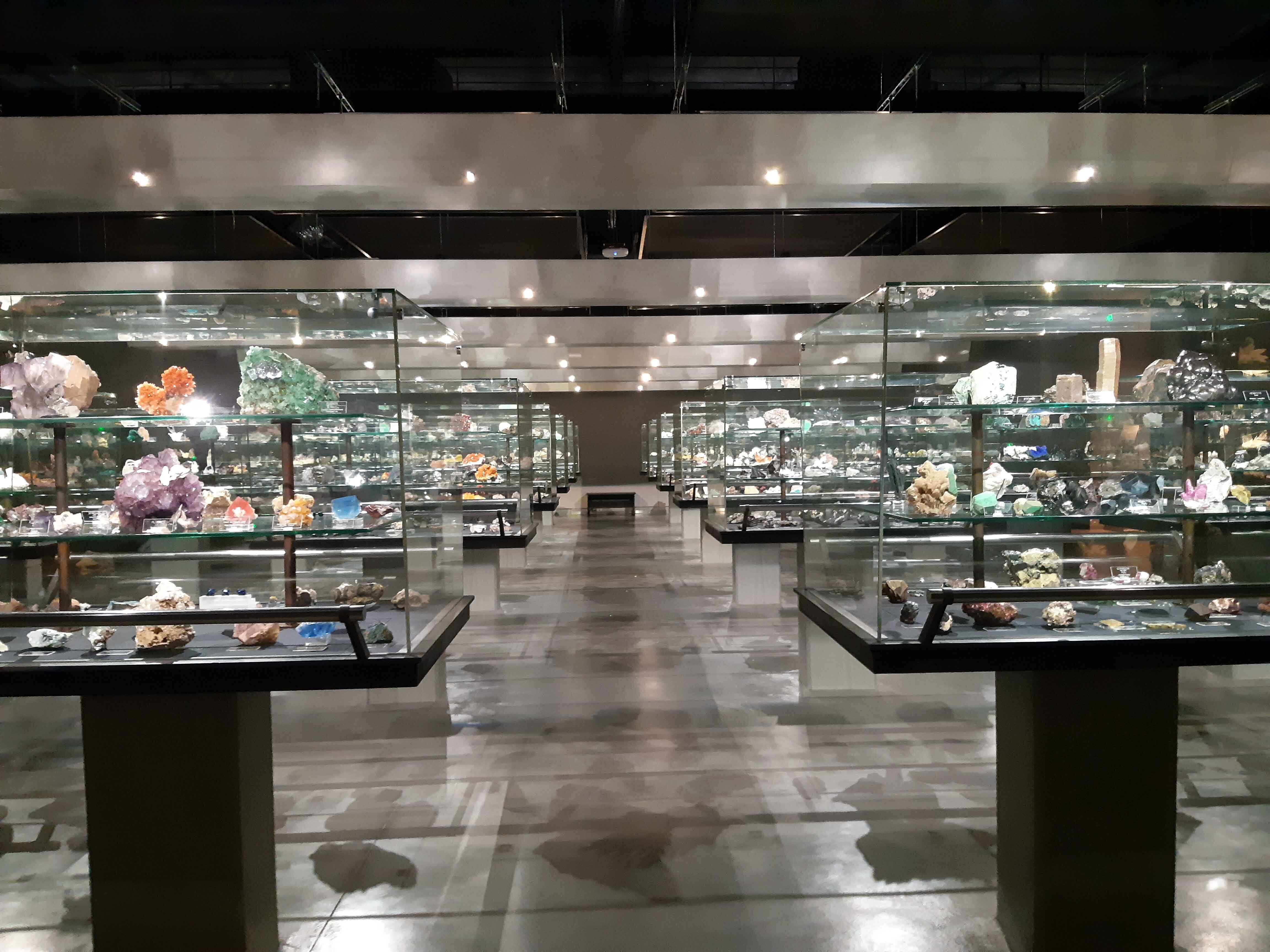 Visite du musée des minéraux de Sorbonne Université