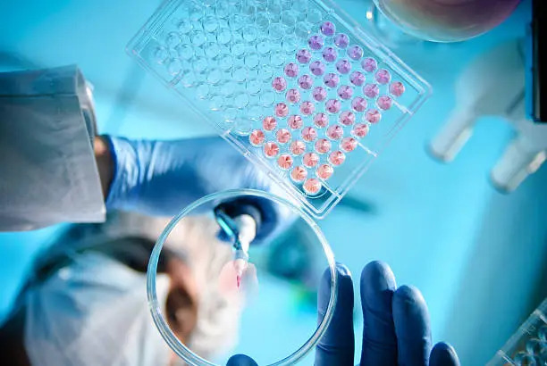 Comment évaluer un médicament ?