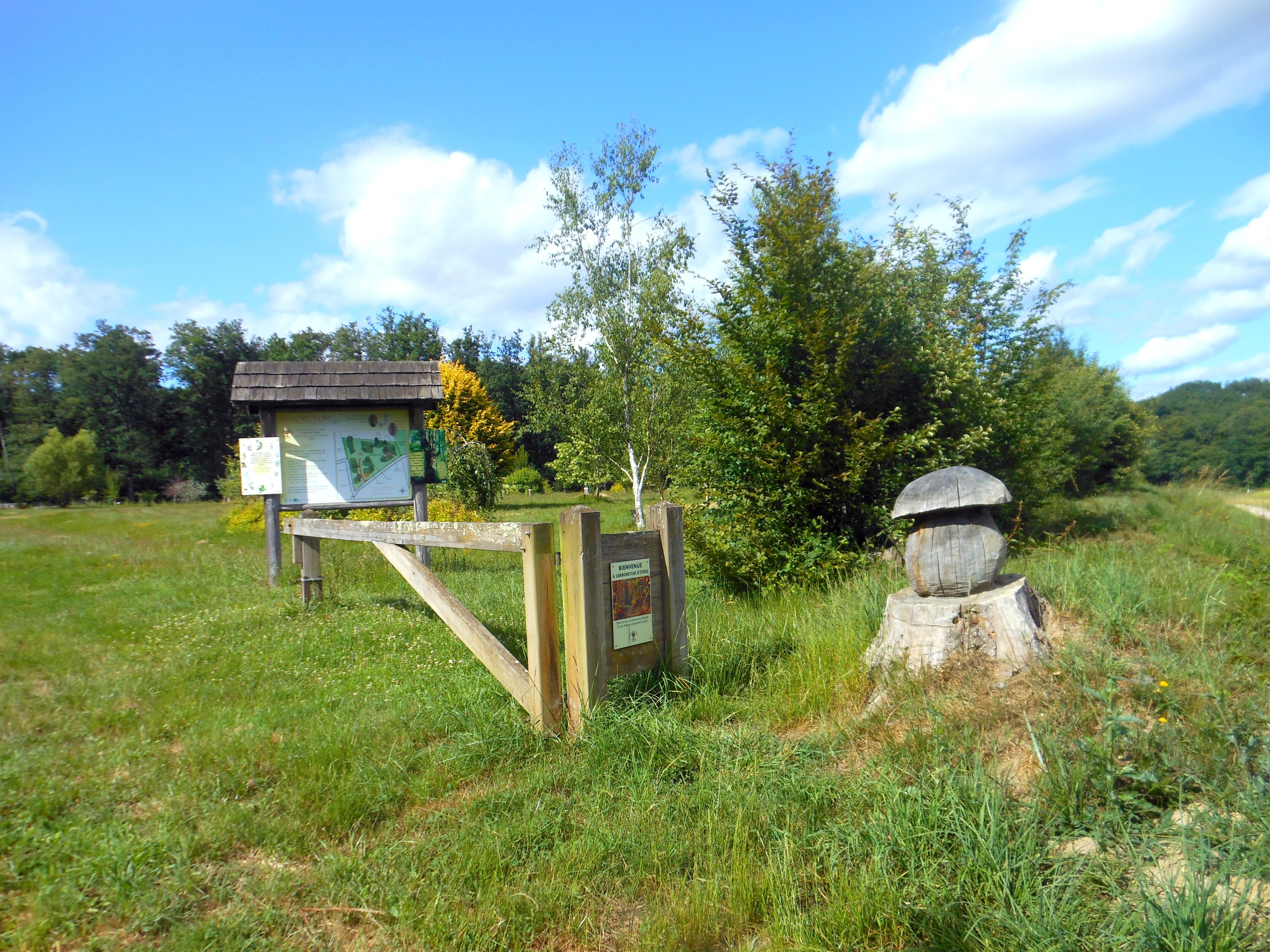 Visite guidée de l'arboretum
