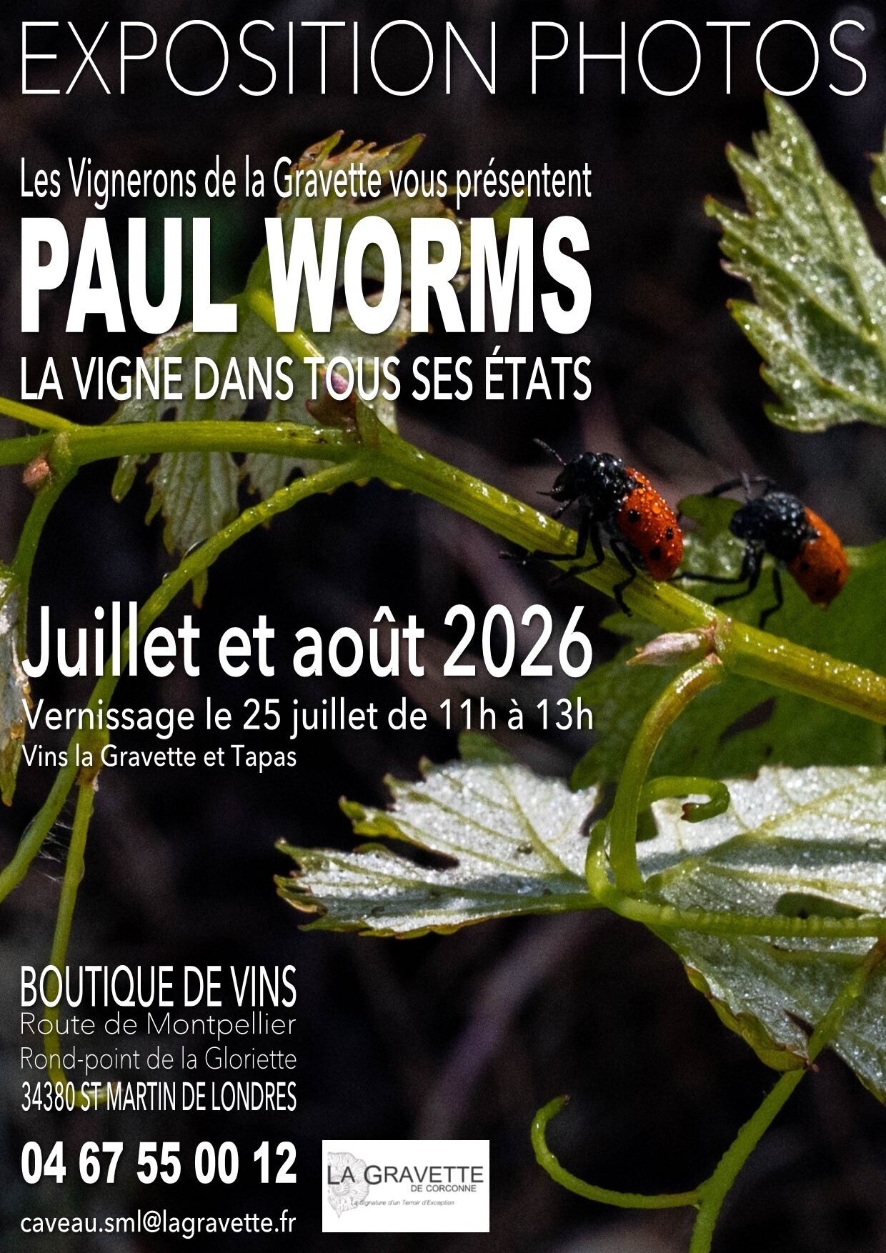 Expo Photos "La Vigne dans tous ses Etats"
