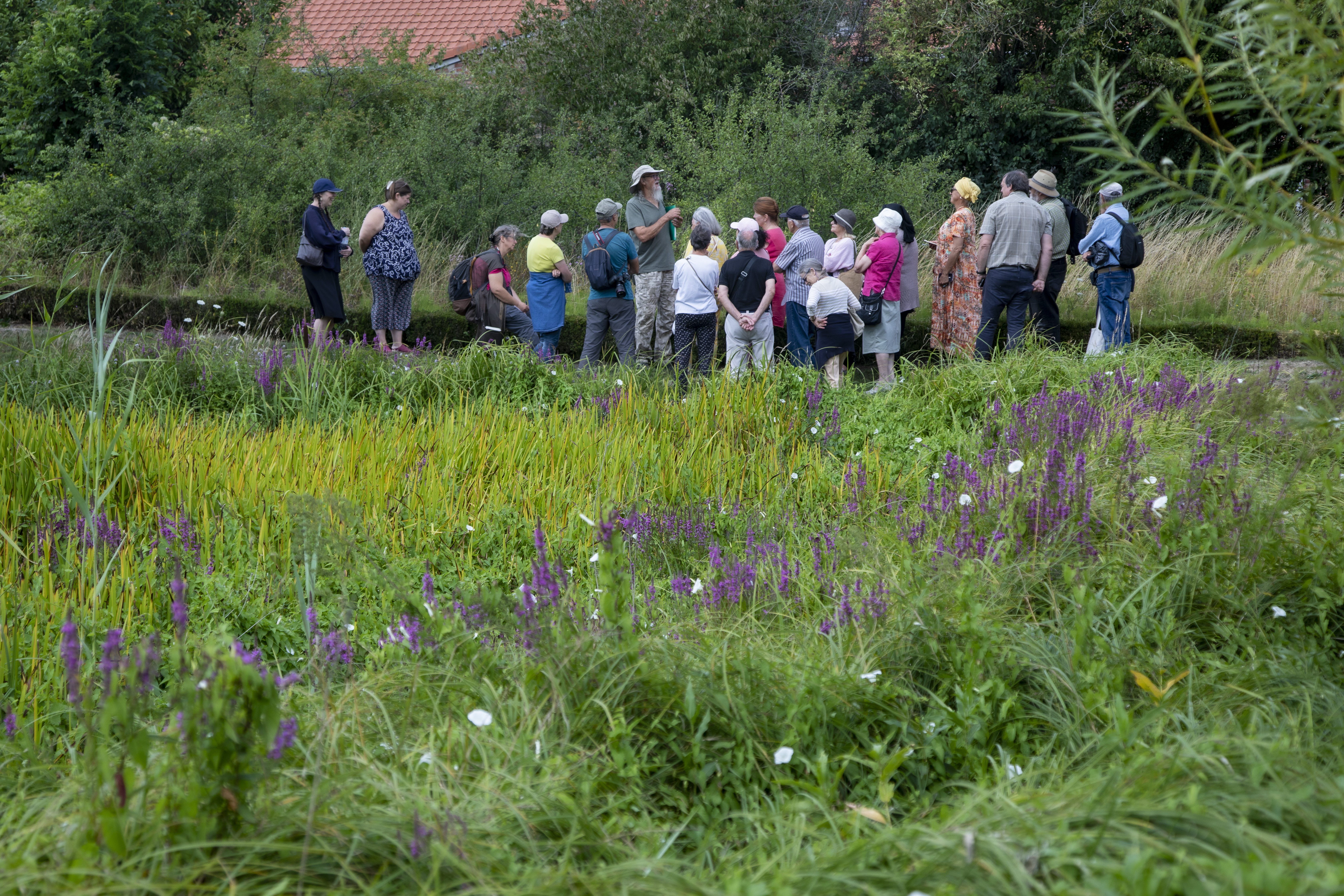 VISITE DU JARDIN DES PLANTES MEDICINALES "ANDRE CAUDRON"