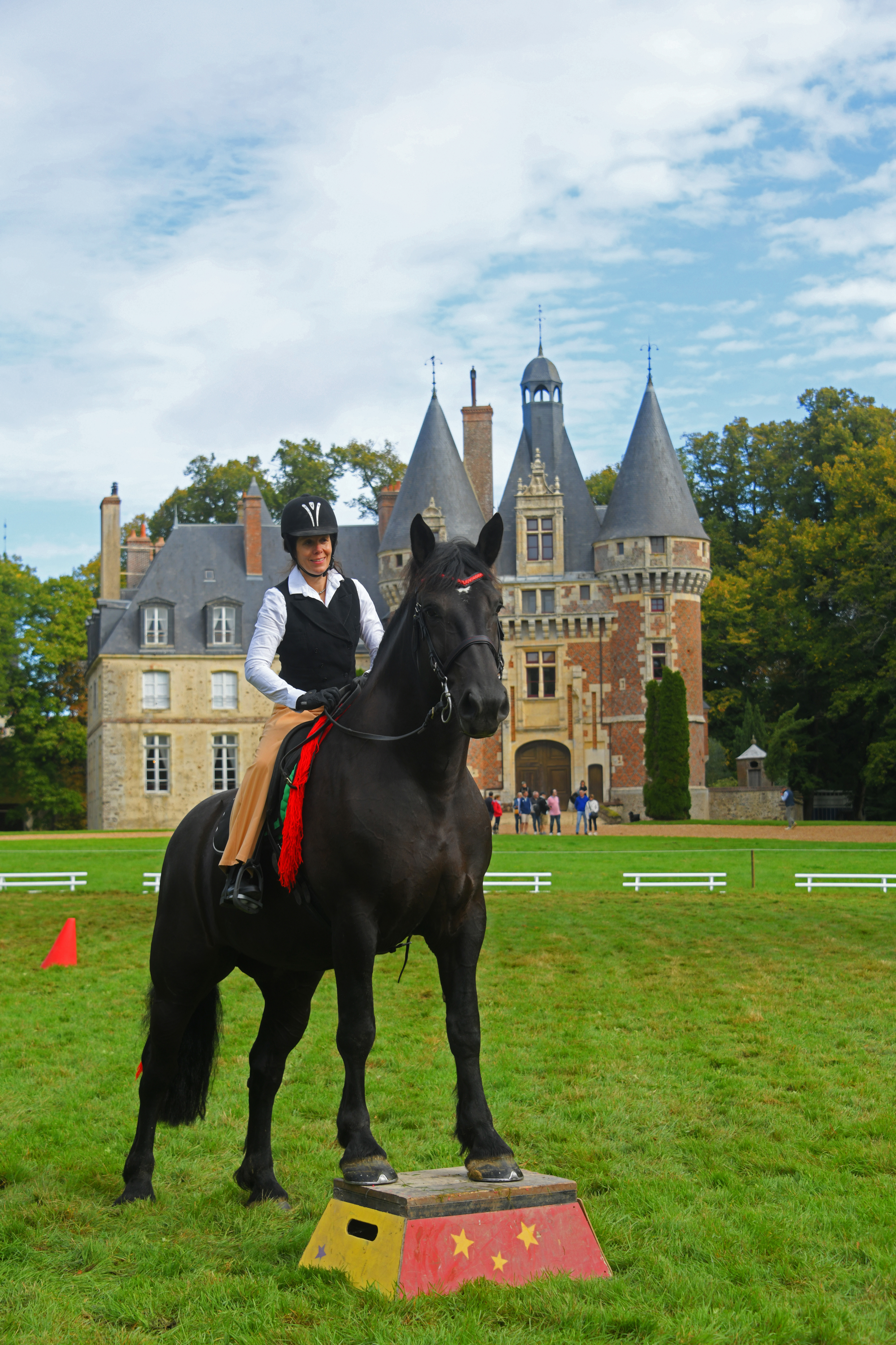 Parcours photographique sur le cheval percheron