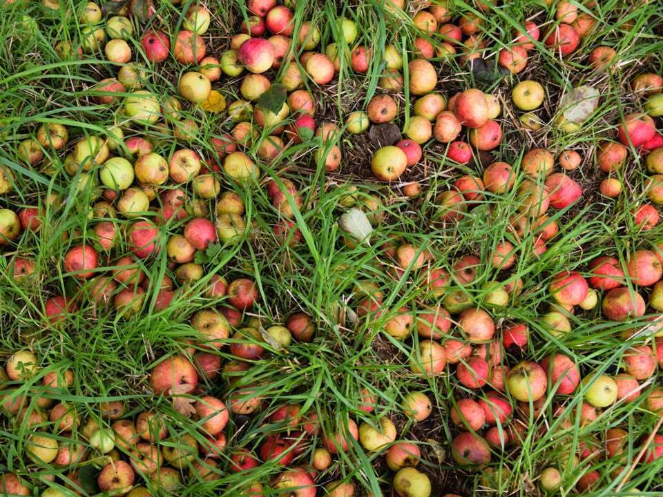 La cuvée Laïta : Rencontre et dégustation avec Les Bouteilles à l’Amère