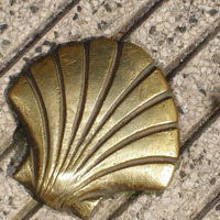 Matinée de marche sur le chemin de Compostelle