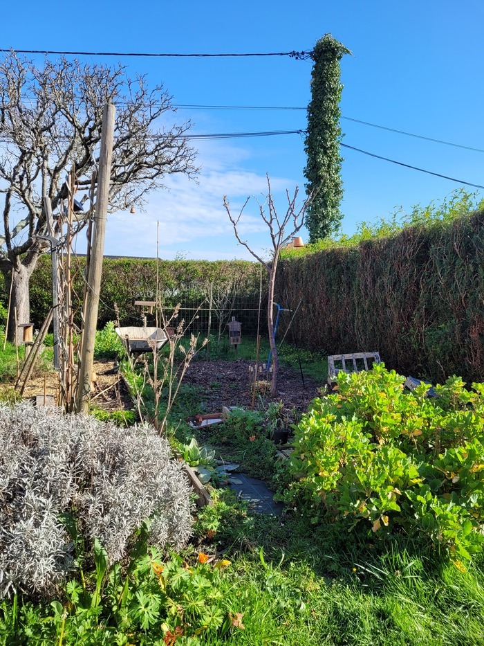 Aménager son espace pour accueillir la biodiversité