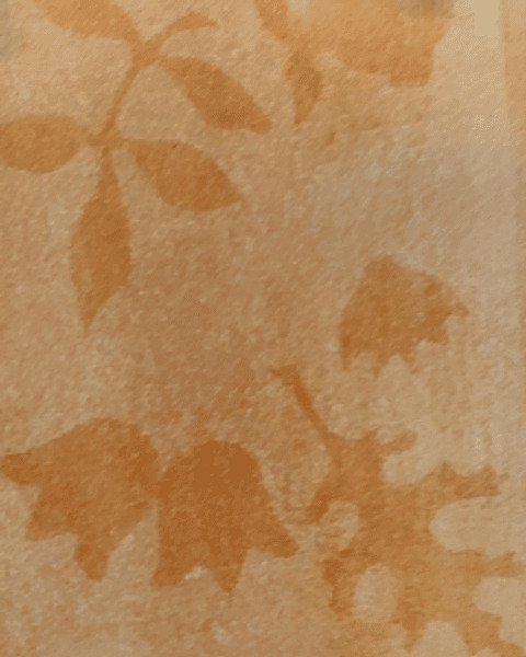 Atelier de pratique artistique | Anthotype fantôme