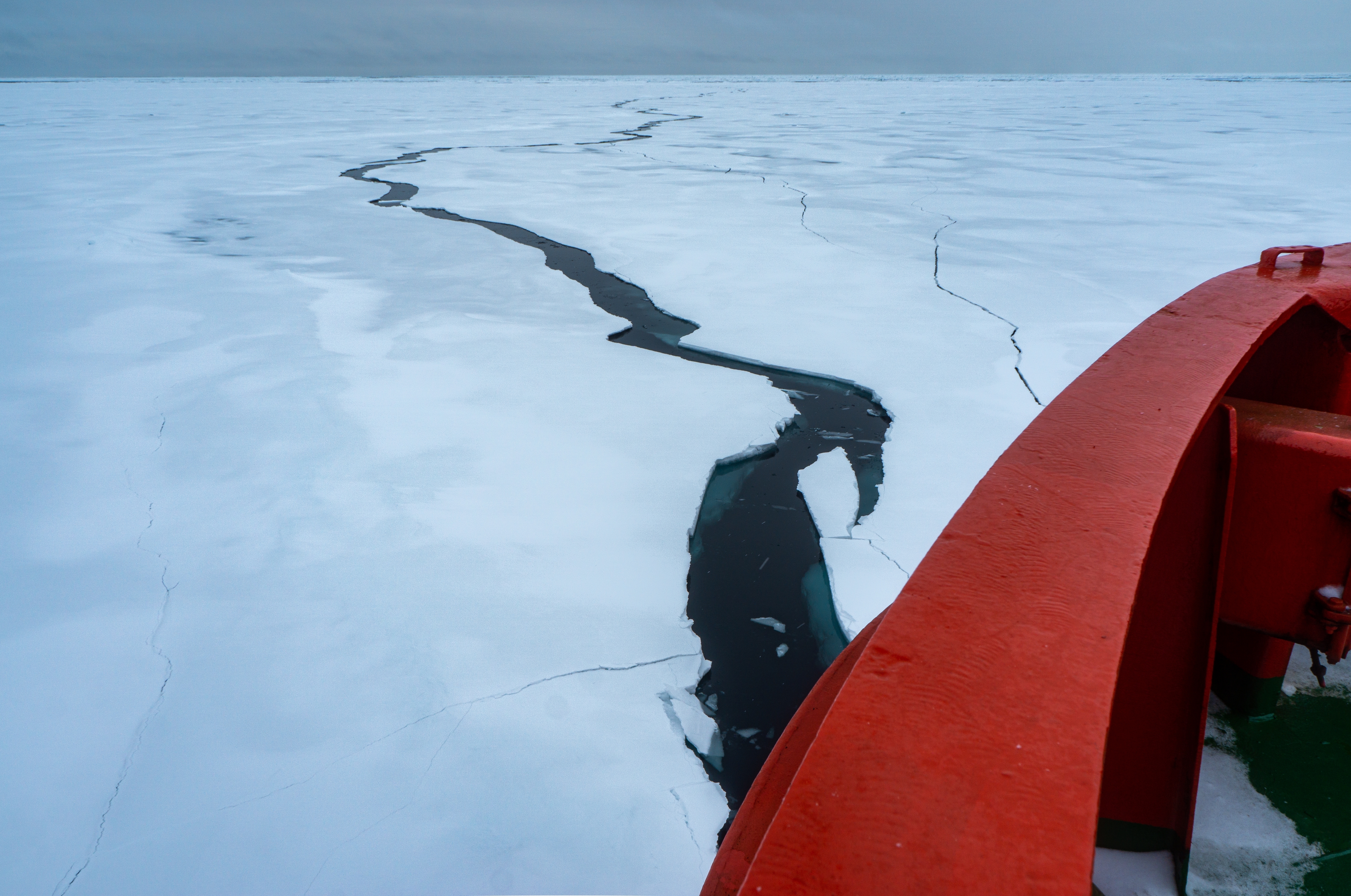 Exposition collective - Arctique les routes du Grand Nord