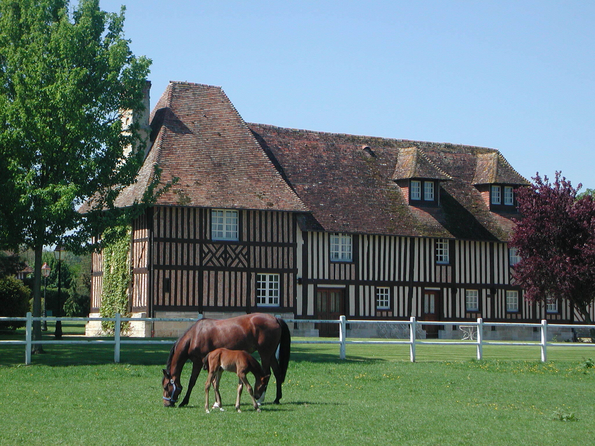 Visite du Haras de la Barbotière
