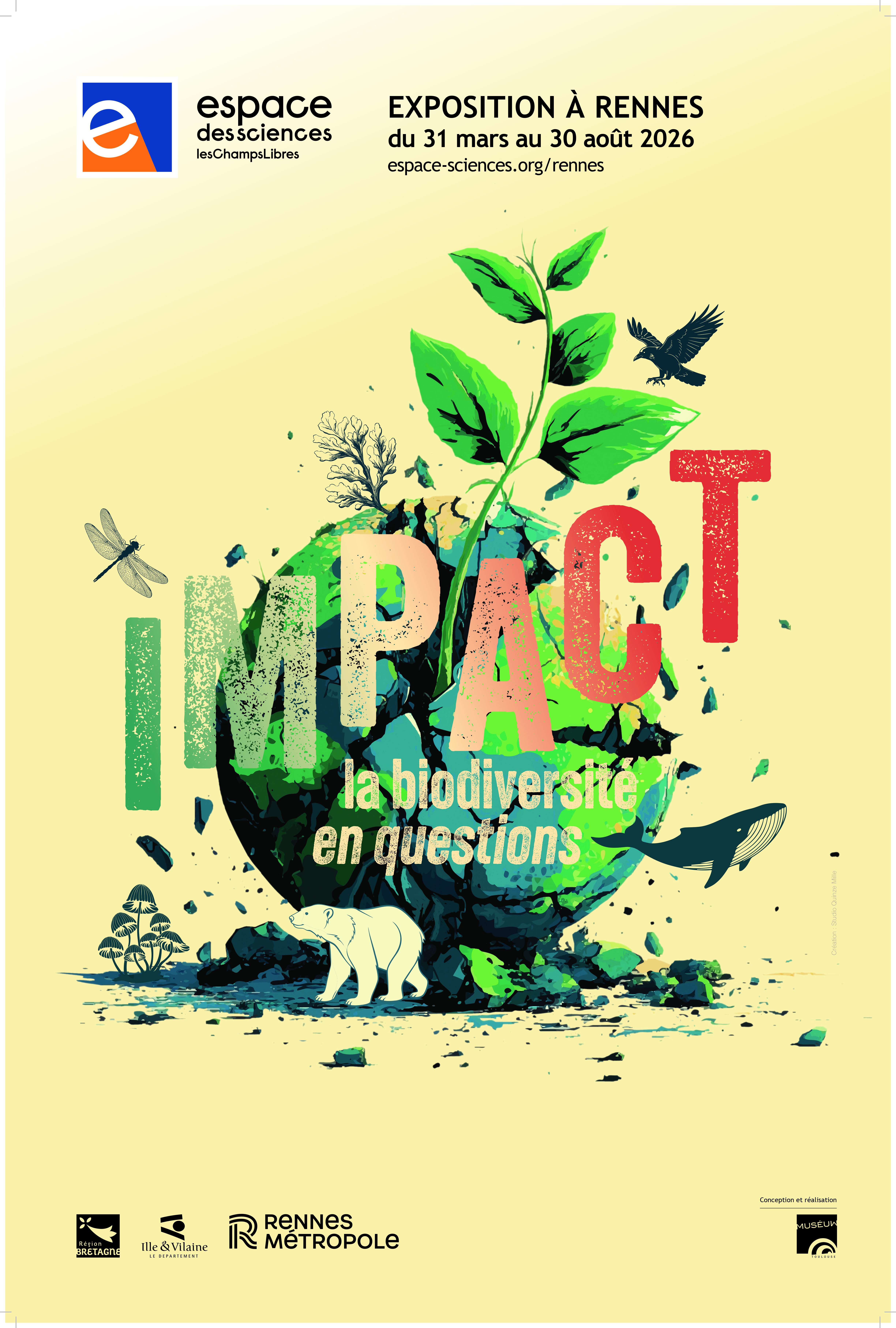 Impact