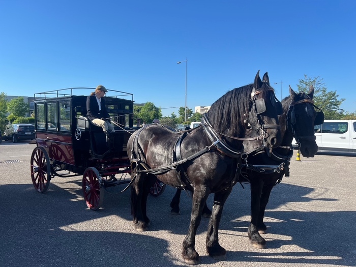 Promenade de deux voitures hippomobiles du 19eme siècle dans les rues de Lyon