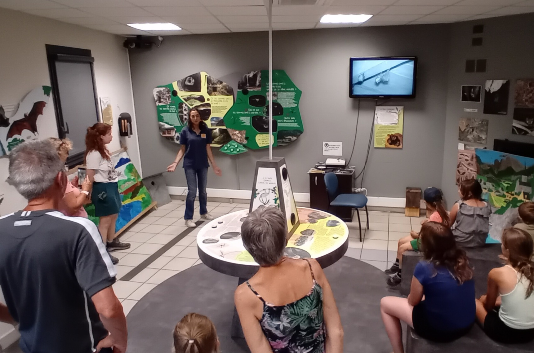 Exposition sur les chauves-souris
