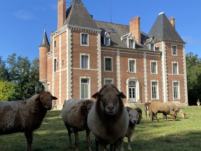 Visite du château de Neuvy-sur-Loire