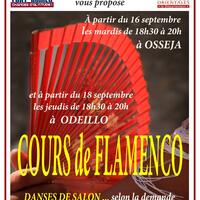 Cours de Flamenco - Pourquoi Pas ?