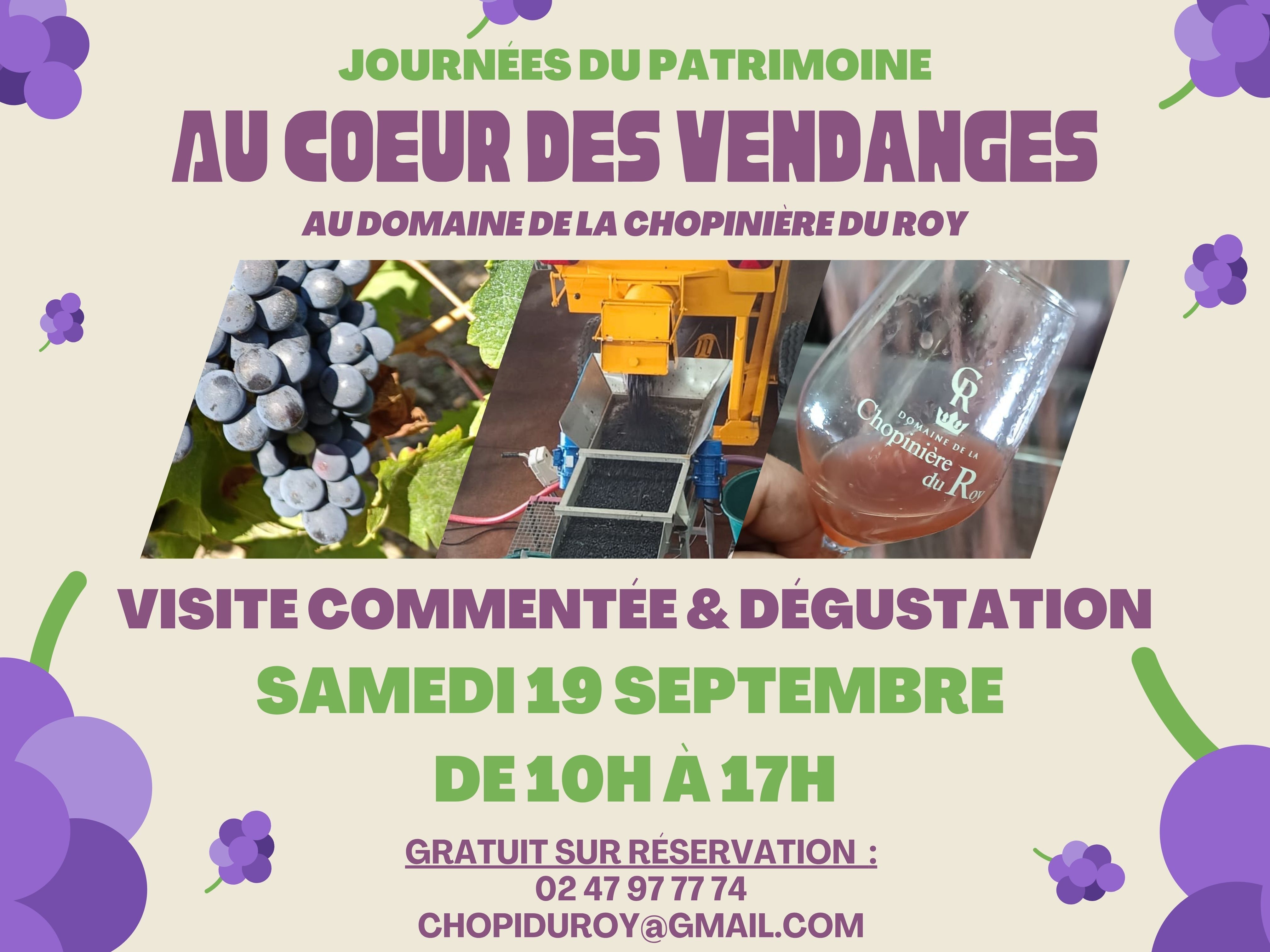 Au cœur des vendanges 🍇