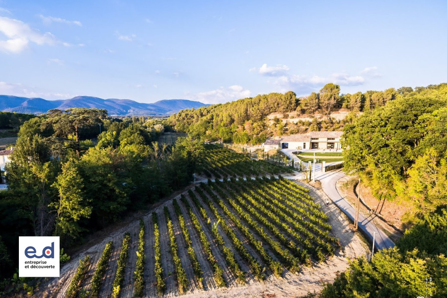 Plus qu’un moulin à huile, Bastide du Laval développe un concept convivial et pédagogique autour du monde merveilleux de l’olivier, de l’huile d’olive et de la Provence.