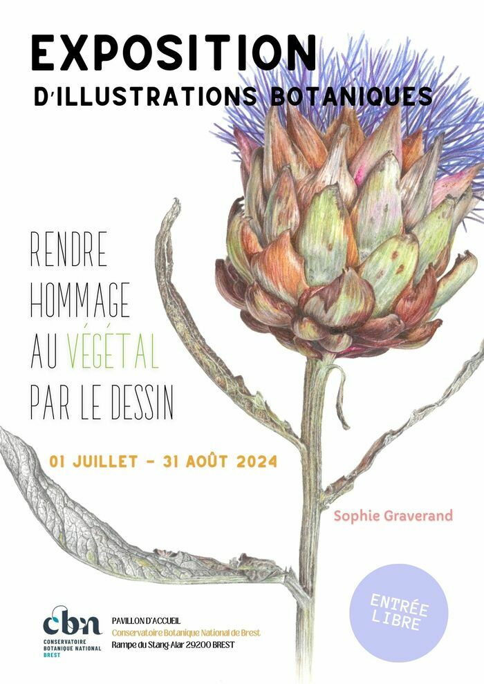 "Rendre hommage au végétal par le dessin"