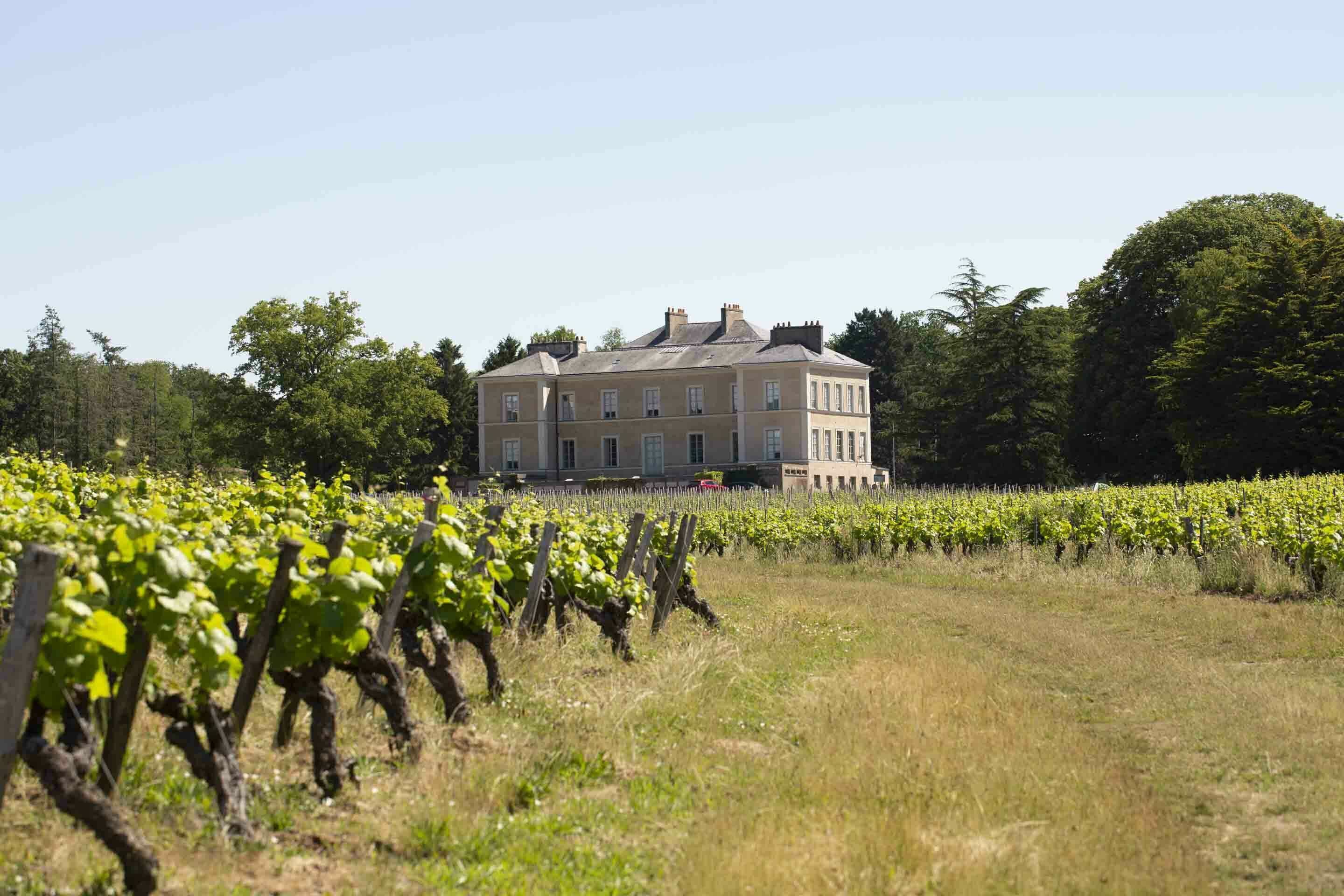Visite guidée du château du Cléray