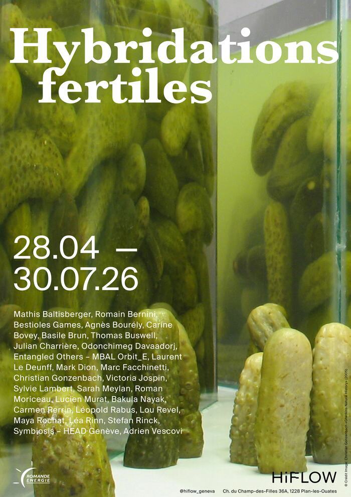 Hybridations fertiles