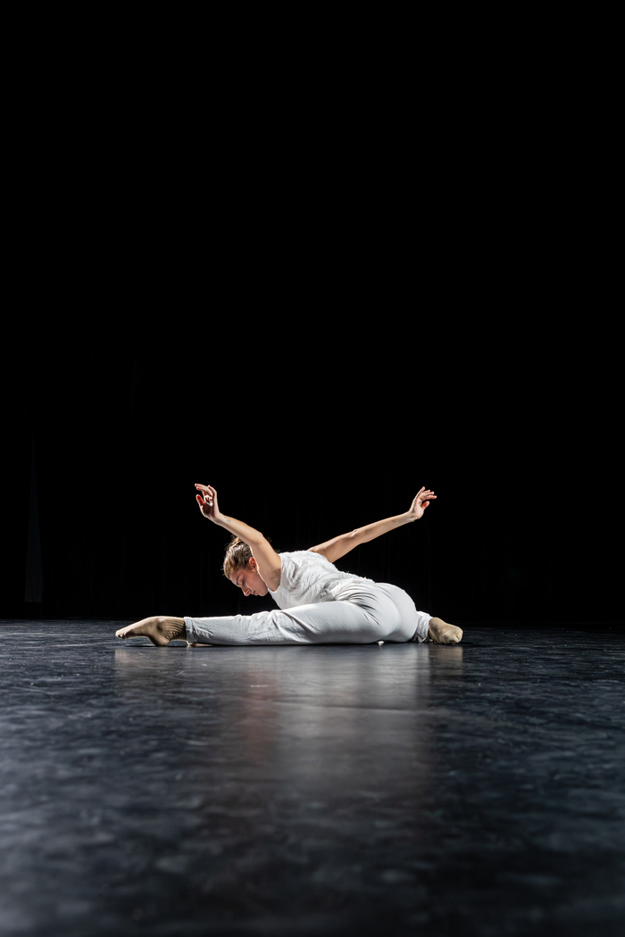 Spectacle chorégraphique par les Alumni du Conservatoire Issy-Vanves. Fondateurs de la Wabi Dance Company et de Third Skin Collective.