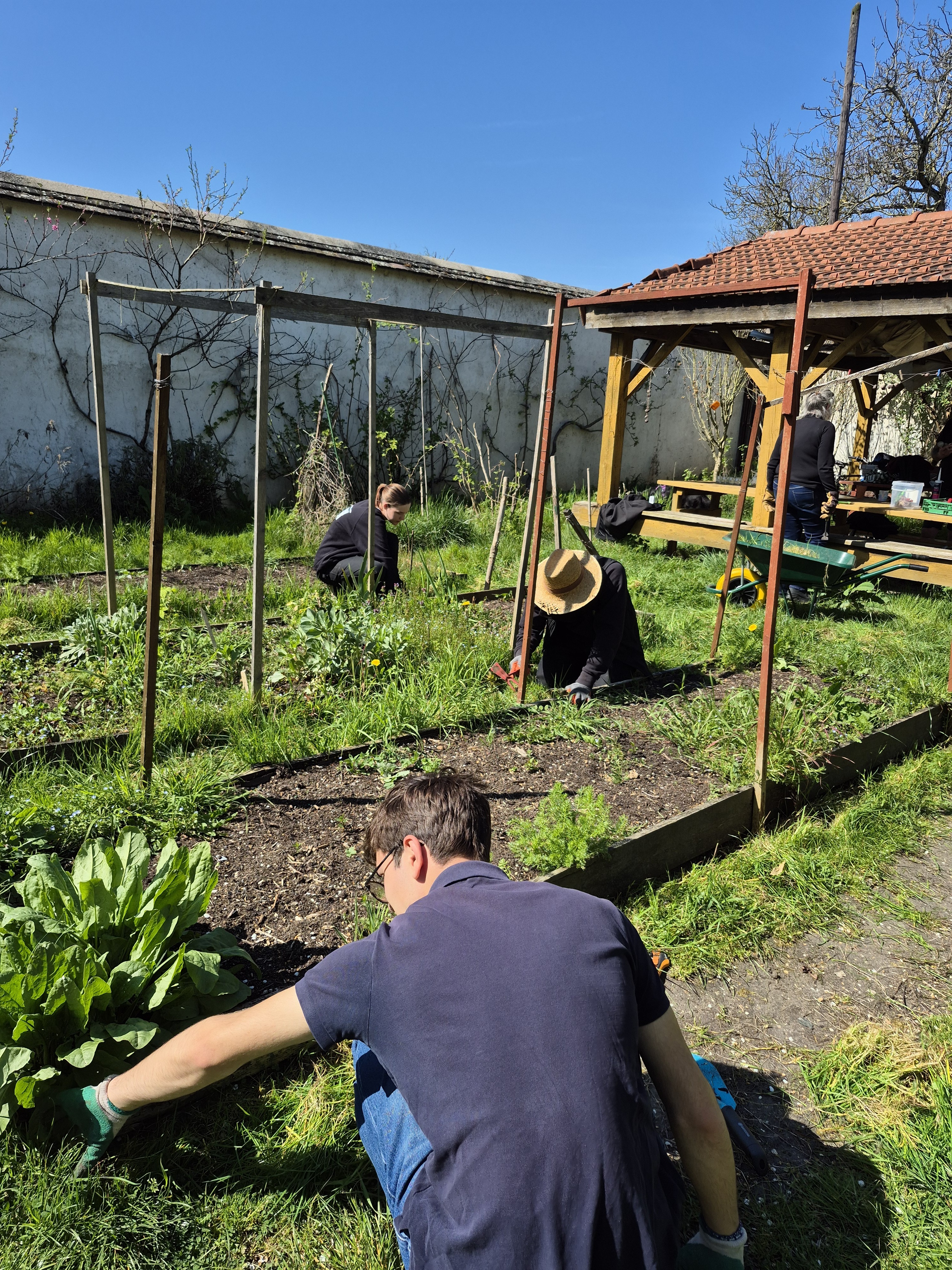 Ateliers de jardinage avec l'association de Culture(s) en Herbe(s)