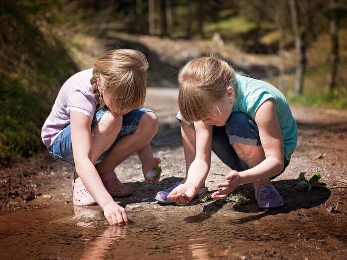 A la découverte des petites bêtes du ruisseau