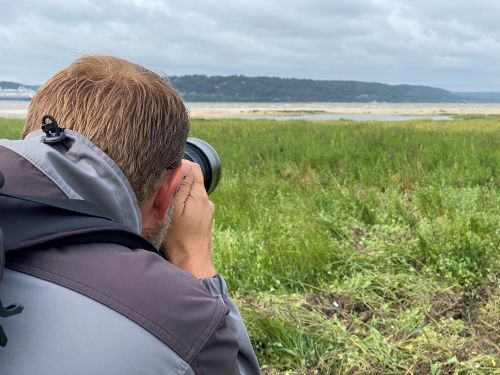 Circuit : balade-atelier "l'estuaire de la Seine à travers l’œil du photographe"
