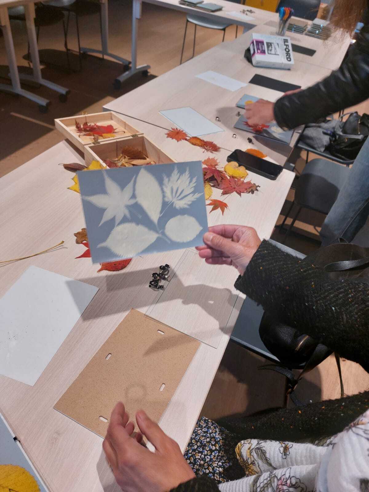 Atelier en famille : photogramme