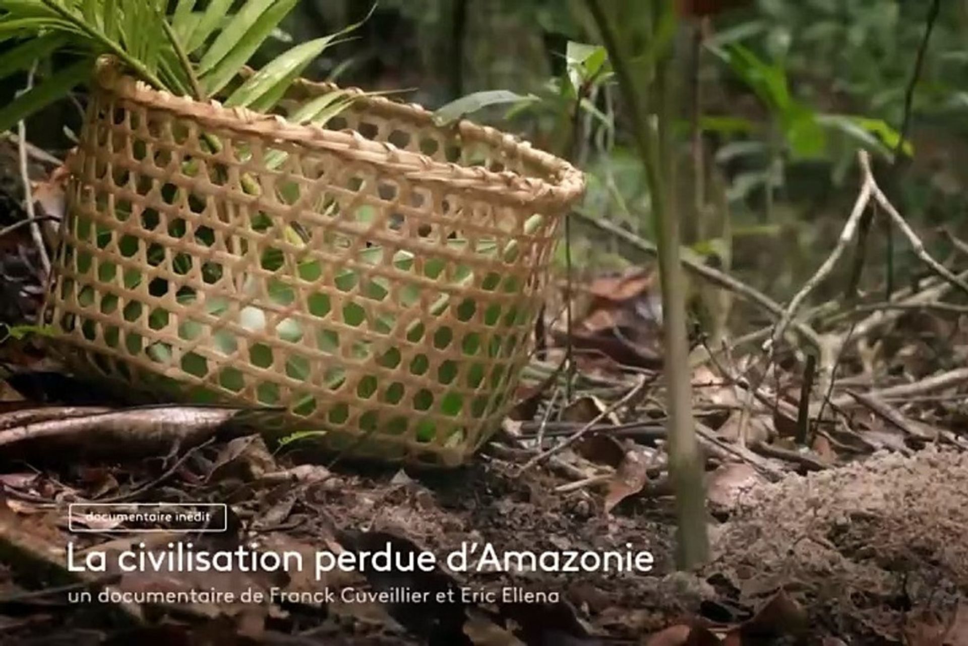 Université du Potager du Dauphin | Jeudis du CNRS - La civilisation perdue d'Amazonie