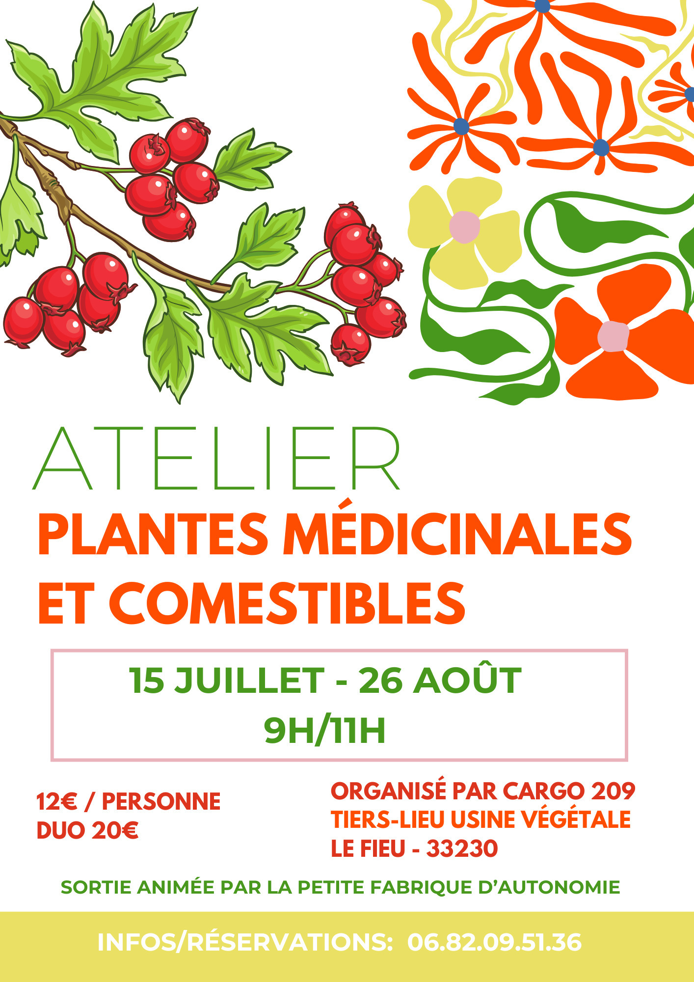 Atelier sur les plantes médicinales et comestibles