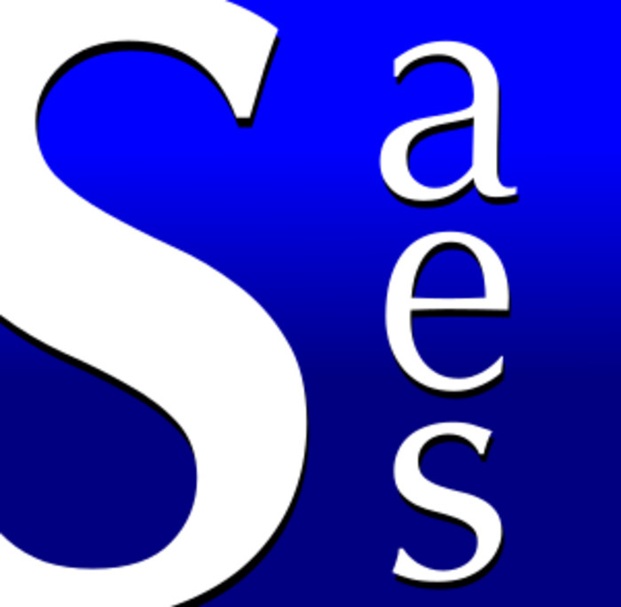 65e Congrès Annuel de la Société des Anglicistes de l'Enseignement Supérieur SAES- 500 participants