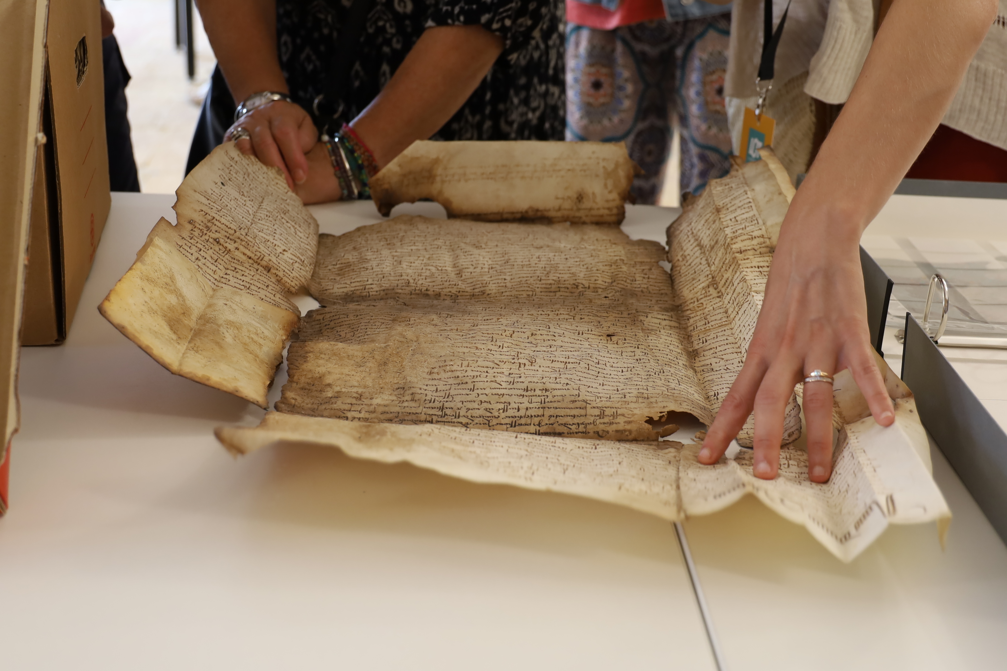 Atelier "La conservation en action"