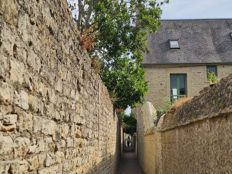 La richesse végétale et minérale des venelles