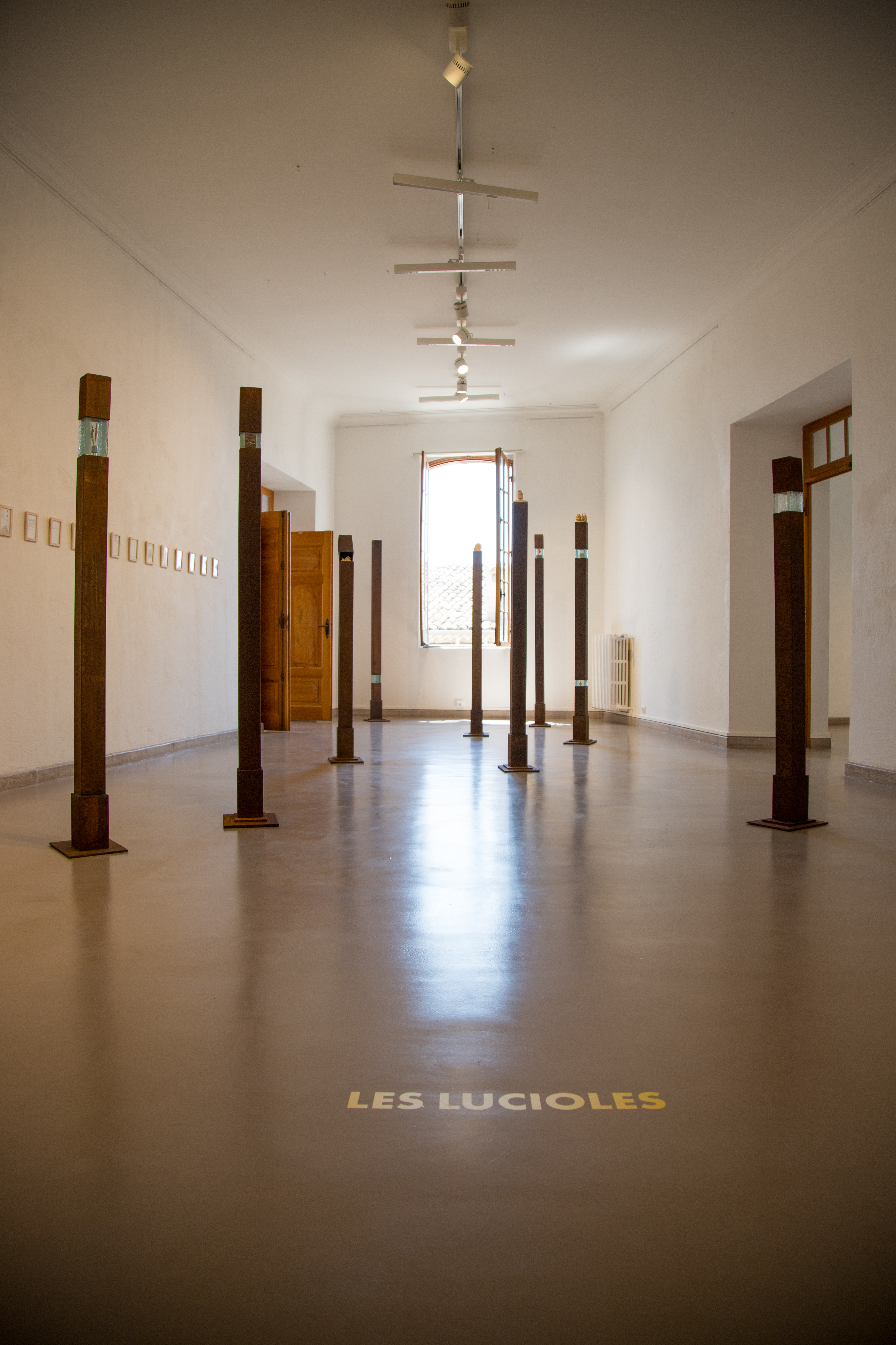 Visite guidée de l'exposition "Les Lucioles"