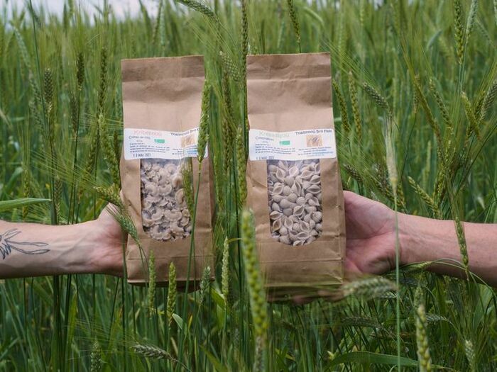 Gweladenn ar feurm Toazennoù Bro Fisel