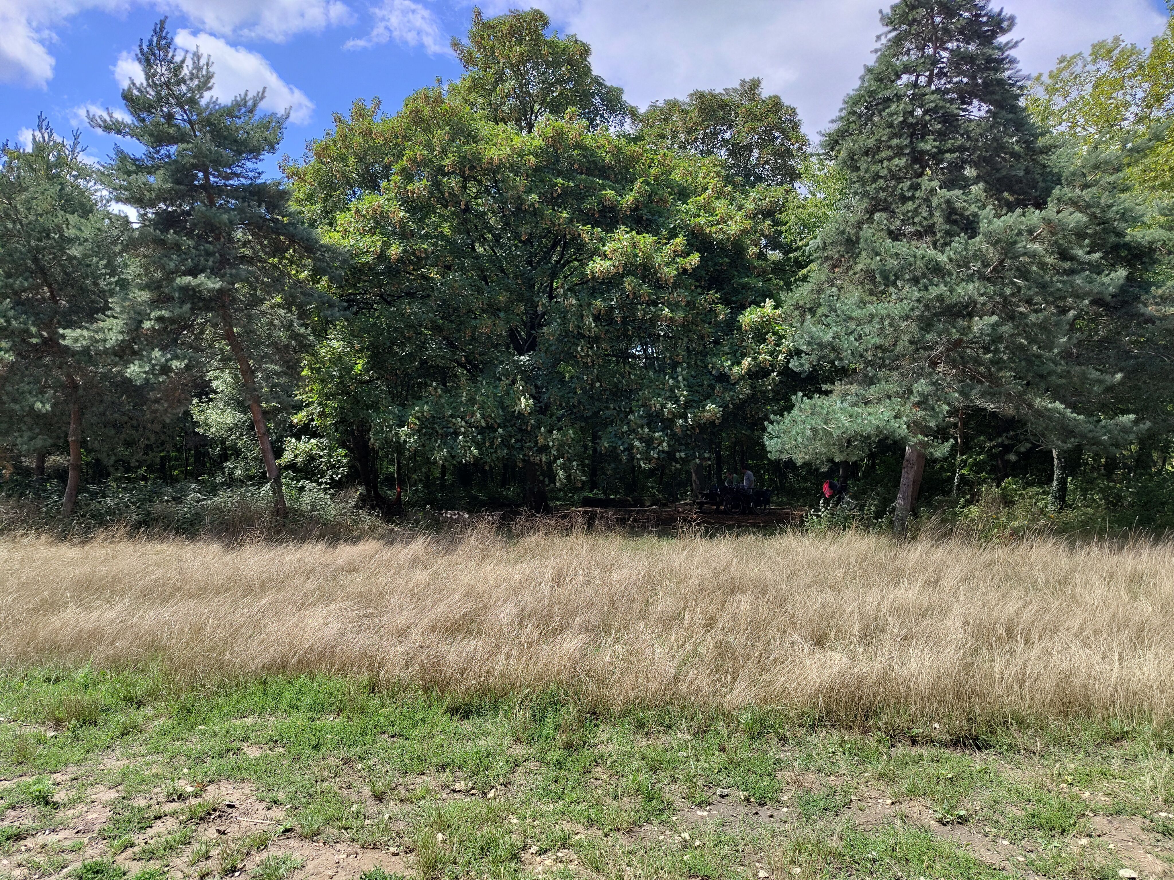 Parcours bien-être Bois de Vincennes - Respiration - Méditation - Sophrologie -Difficulté 2