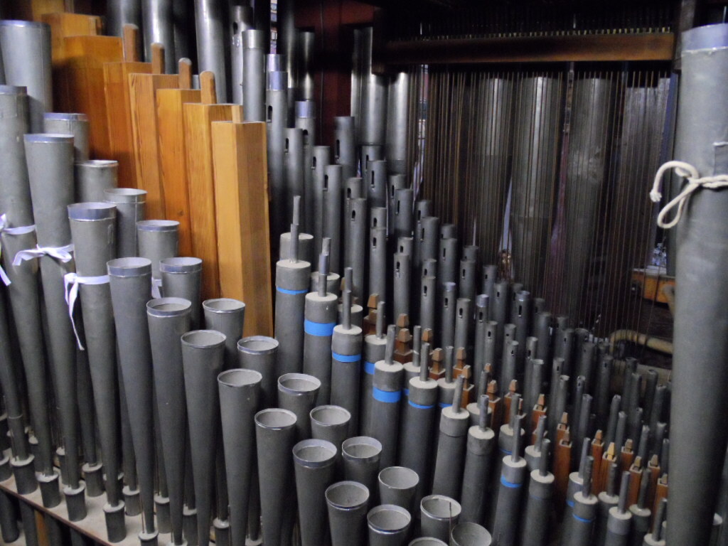Découverte de l'orgue