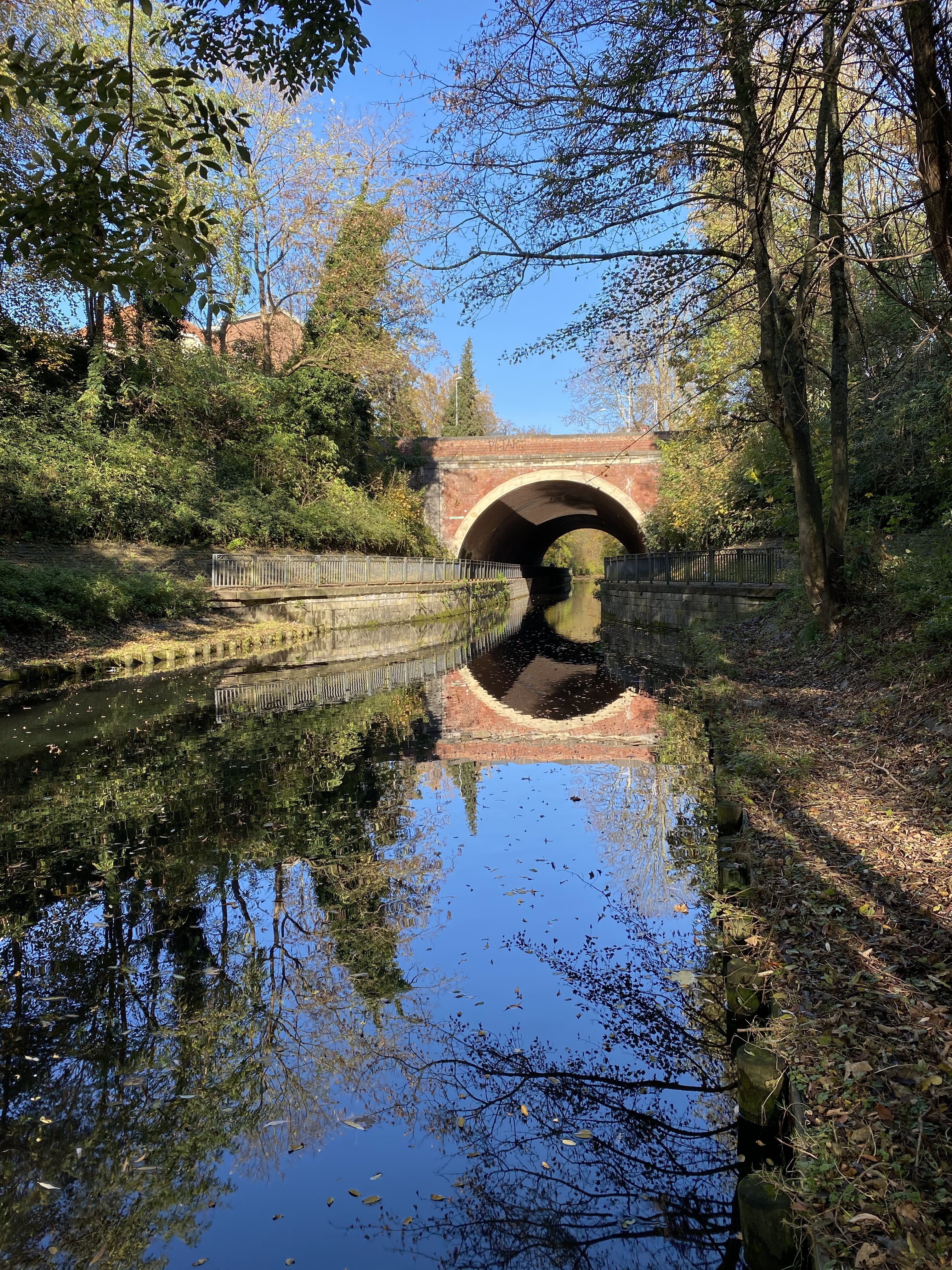 Balade naturaliste : les richesses de la branche de Tourcoing