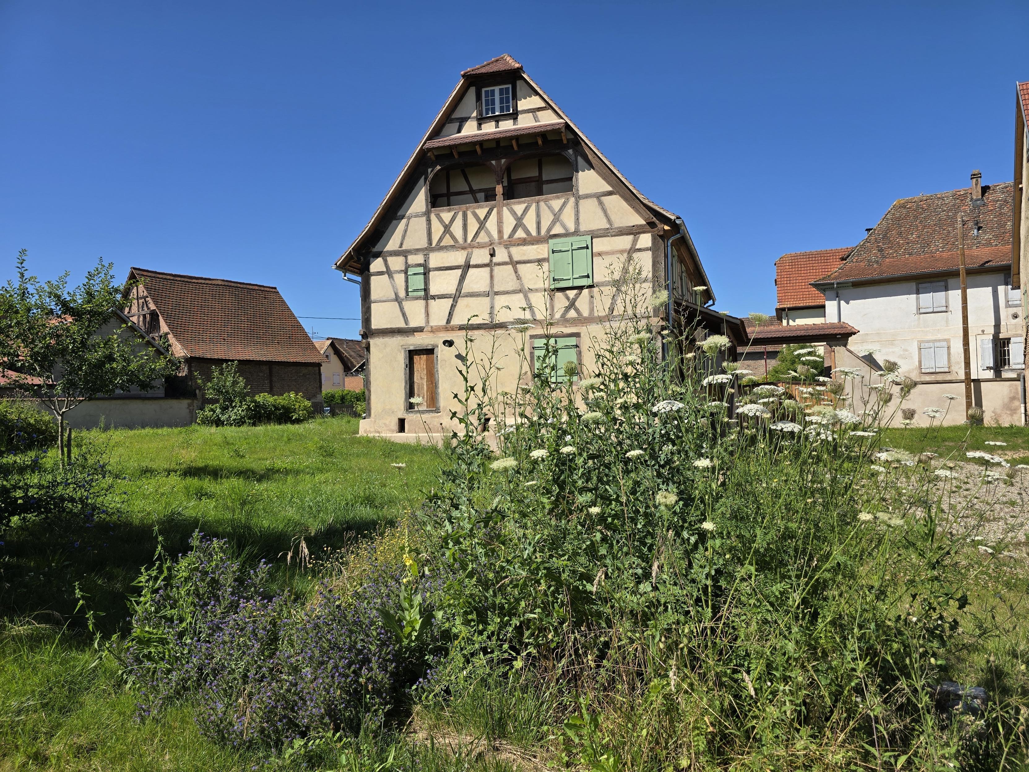 Visite à travers l’histoire du village d'Entzheim