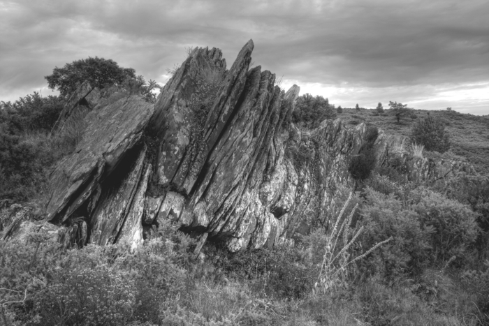 Landes vivantes : photographies d'Emmanuel Holder