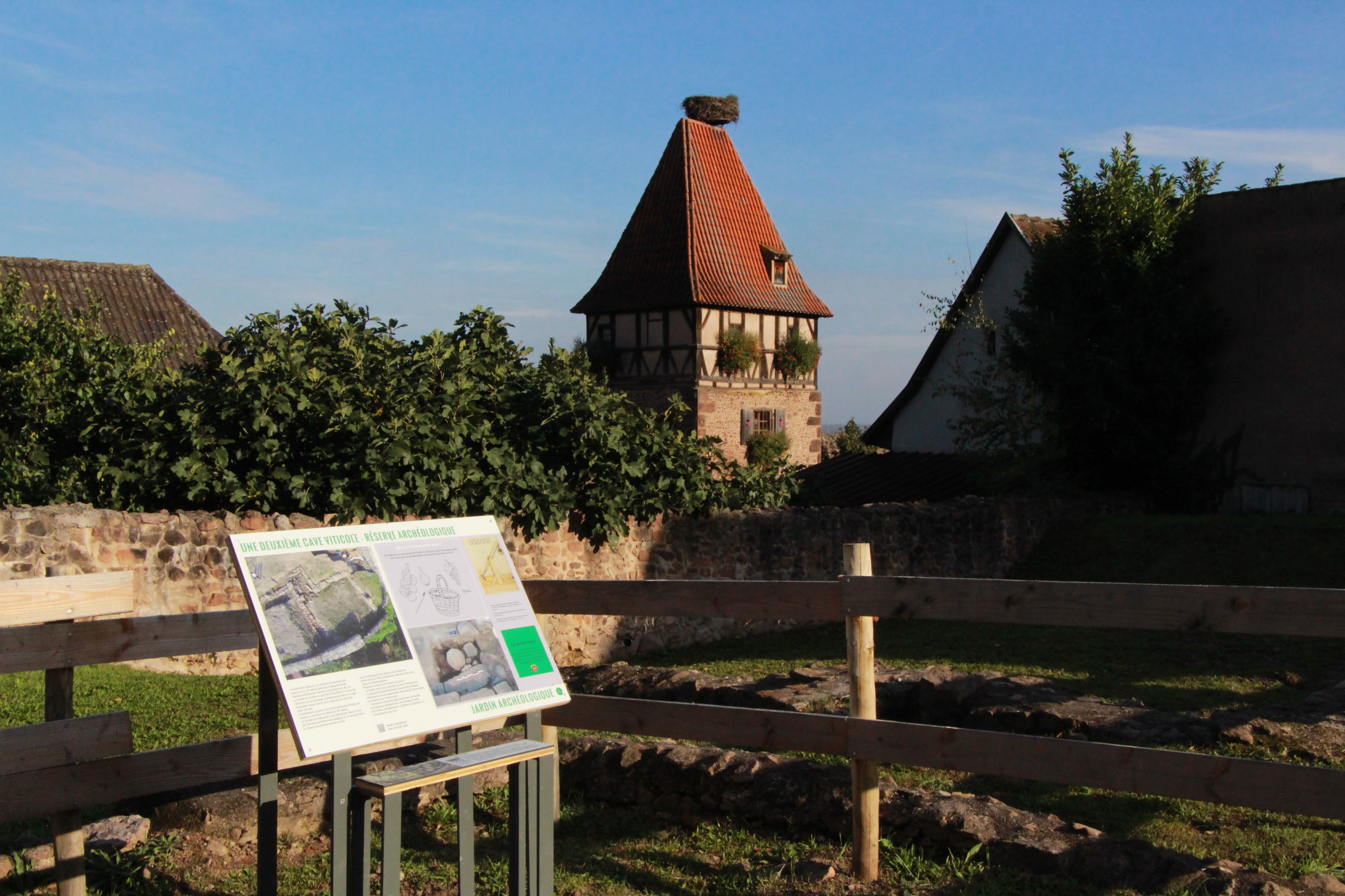 Découverte du Jardin Archéologique : trésors de l'époque médiévale