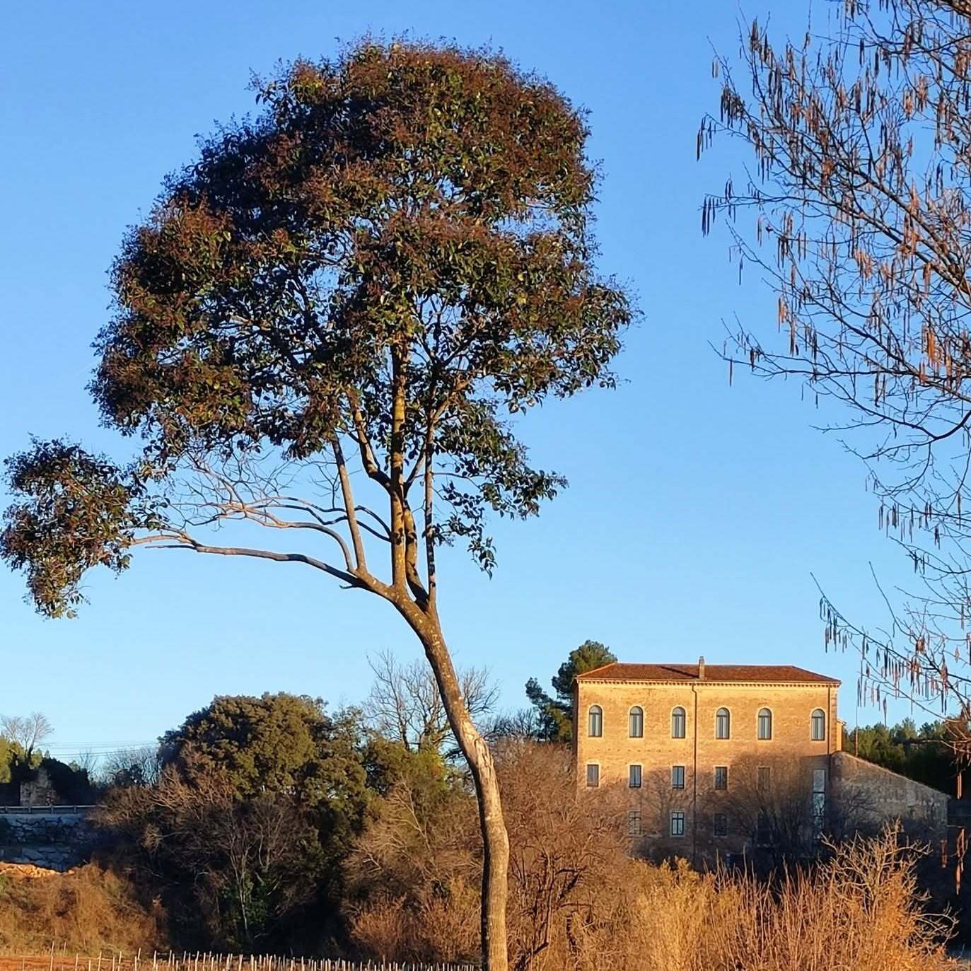 Les moulins de la Bastide Sainte Cecile des Arcs - Ecomusée de l'Olive