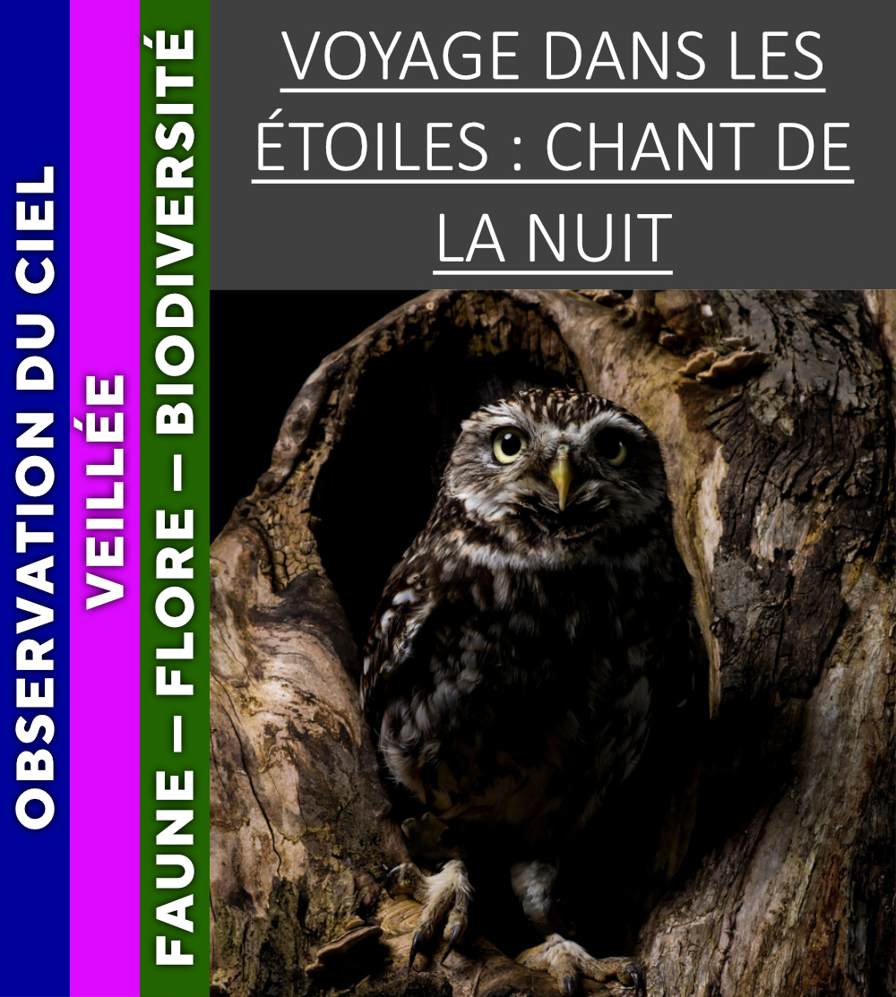 VERCORS - Voyage dans les étoiles : chant de la nuit